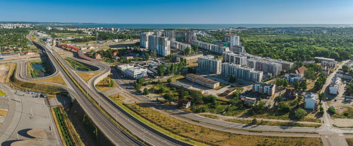 Letnica w obiektywie